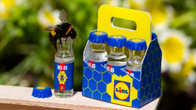 Lidl lance des packs pour sauver les abeilles