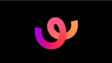 TikTok officialise le lancement de Whee !