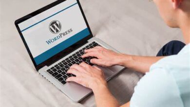 WordPress 6.6 est disponible