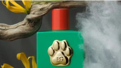 Dolce & Gabbana se met au parfum pour chien