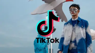 TikTok, nouveau tremplin pour l’industrie du luxe