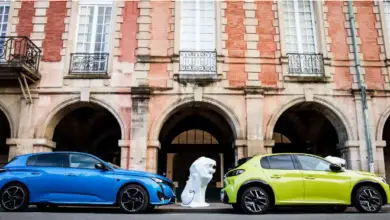 Peugeot et Born Free rugissent ensemble pour la protection des lions