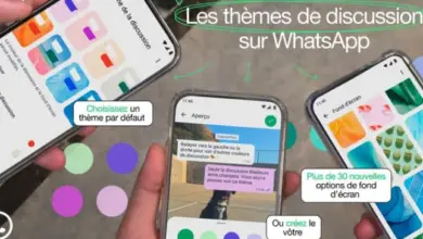 WhatsApp permet de personnaliser ses discussions : Nouvelle fonctionnalité de thèmes