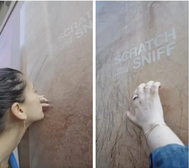 Billie secoue la pub avec des aisselles géantes à gratter… et ça sent bon le soleil !