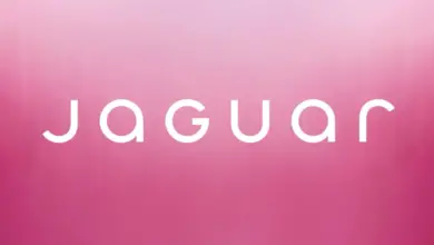Jaguar dans la tourmente : le rebranding radical déclenche un audit de son agence créative mondiale