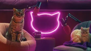 Whiskas lance The Purrcast : le podcast pour les nouveaux maîtres… raconté par des chats !