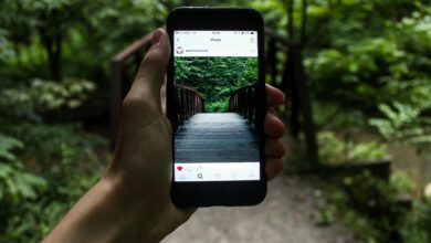 Maîtrisez les Instagram Analytics pour booster votre visibilité et votre taux d’engagement
