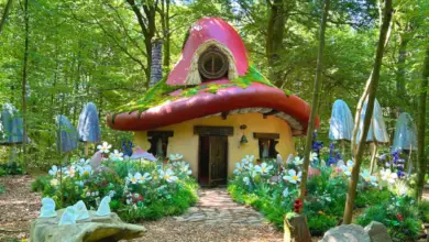 Maison champignon grandeur nature dans la forêt belge pour l’expérience Schtroumpfs d’Airbnb