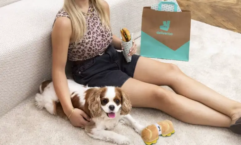 Chien jouant avec un jouet en forme de pizza à côté d’un plat Deliveroo