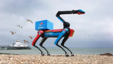 Robot quadrupède utilisé par Domino’s, inspiré de la technologie Boston Dynamics