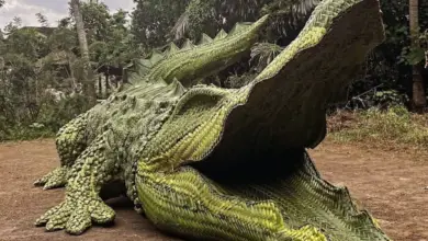 À Bali, Lacoste dévoile un crocodile éco-responsable en feuilles de cocotier pour “The French Wave”