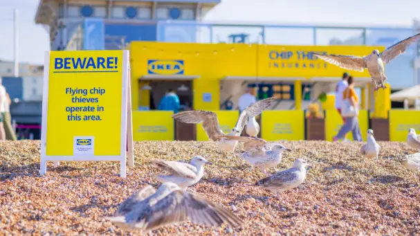 Kiosque IKEA à Brighton proposant une assurance contre le vol de frites par les mouettes