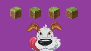 Friandises Purina Beggin’ Blocks en forme de blocs Minecraft